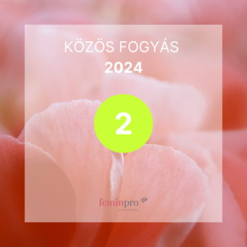 kf2024-2-ebook
