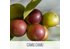 Kép 4/6 - camu camu
