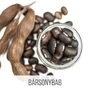 bársonybab