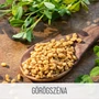 görögszéna